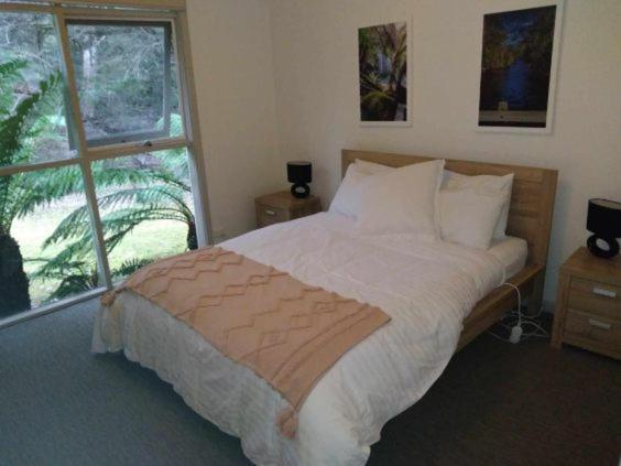 Russell Falls Holiday Cottages National Park المظهر الخارجي الصورة