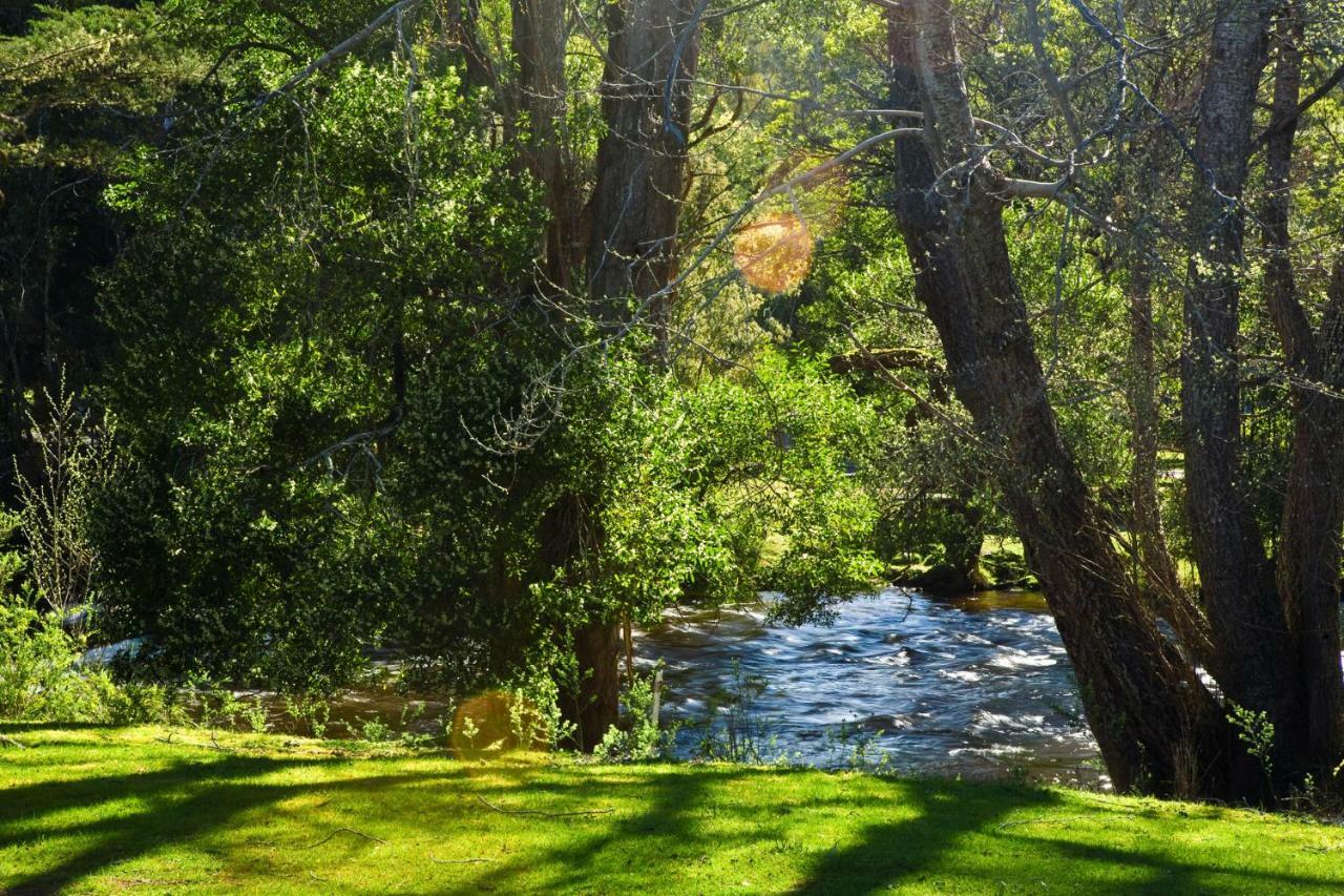 Russell Falls Holiday Cottages National Park المظهر الخارجي الصورة