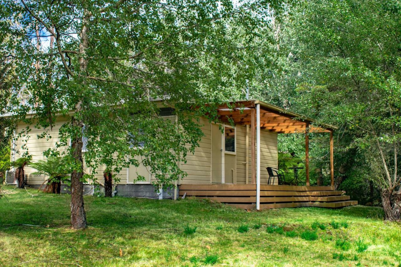 Russell Falls Holiday Cottages National Park المظهر الخارجي الصورة