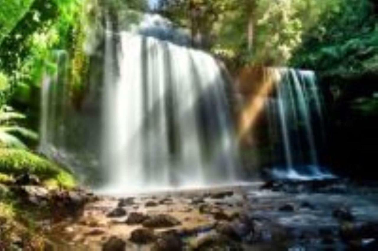 Russell Falls Holiday Cottages National Park المظهر الخارجي الصورة