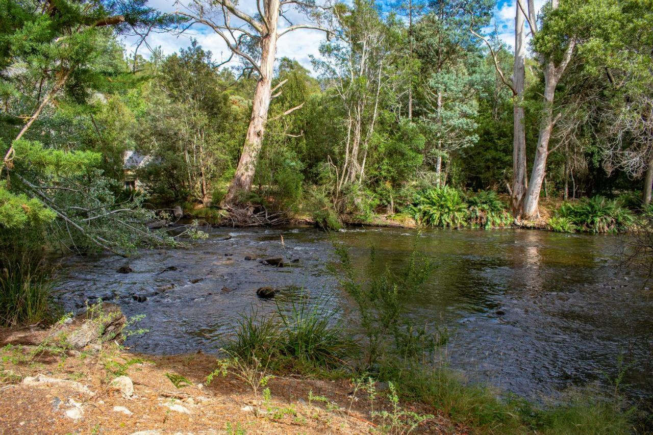 Russell Falls Holiday Cottages National Park المظهر الخارجي الصورة