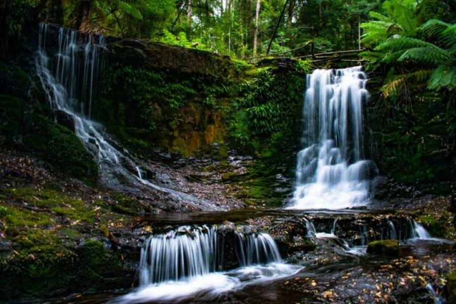 Russell Falls Holiday Cottages National Park المظهر الخارجي الصورة